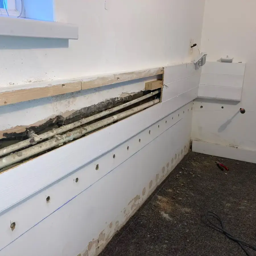 Qualified damp surveyor image placeholder