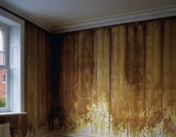 Damp survey inspection image placeholder
