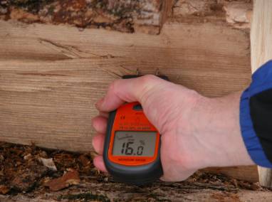damp surveys